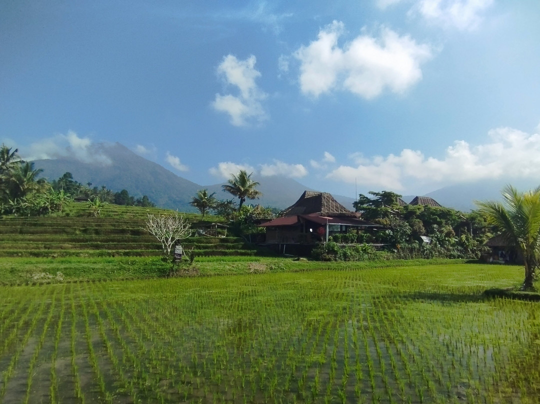 Jatiluwih Cycling Tour By Easy Bali Cycling-达巴南必去景点