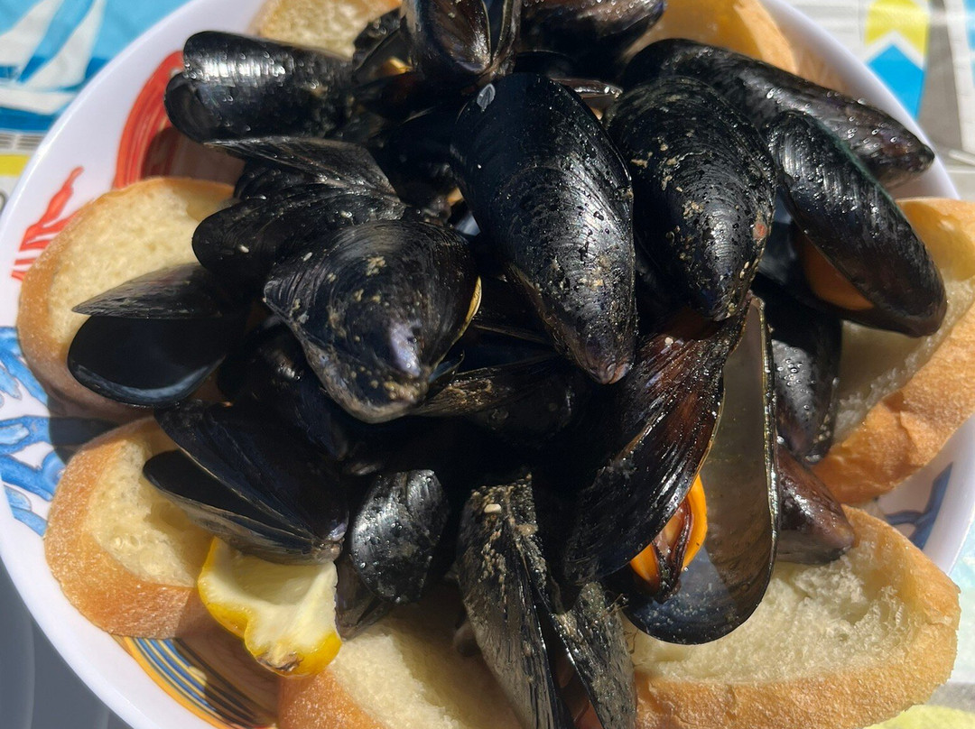 Asinara Garbo Charter-斯廷蒂诺必去景点