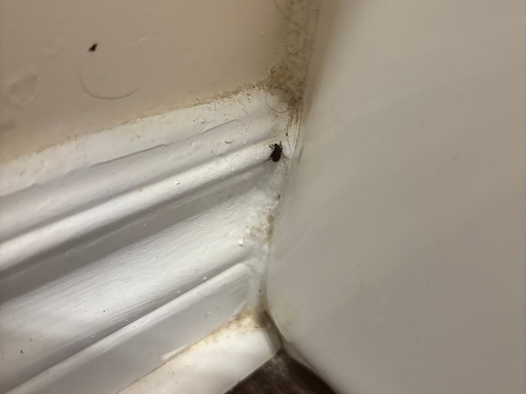 海景画海岸隐居酒店主图