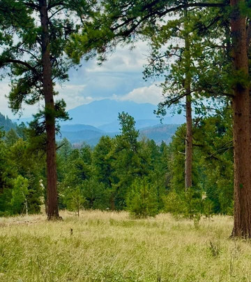 Staunton State Park-Pine必去景点