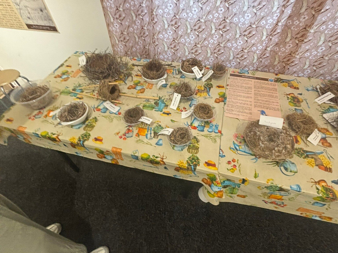 Balaton Museum-凯斯特海伊必去景点