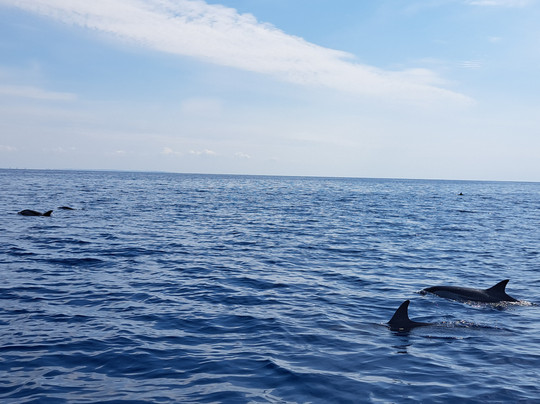 Taras Sub - Diving Center-塔兰托必去景点