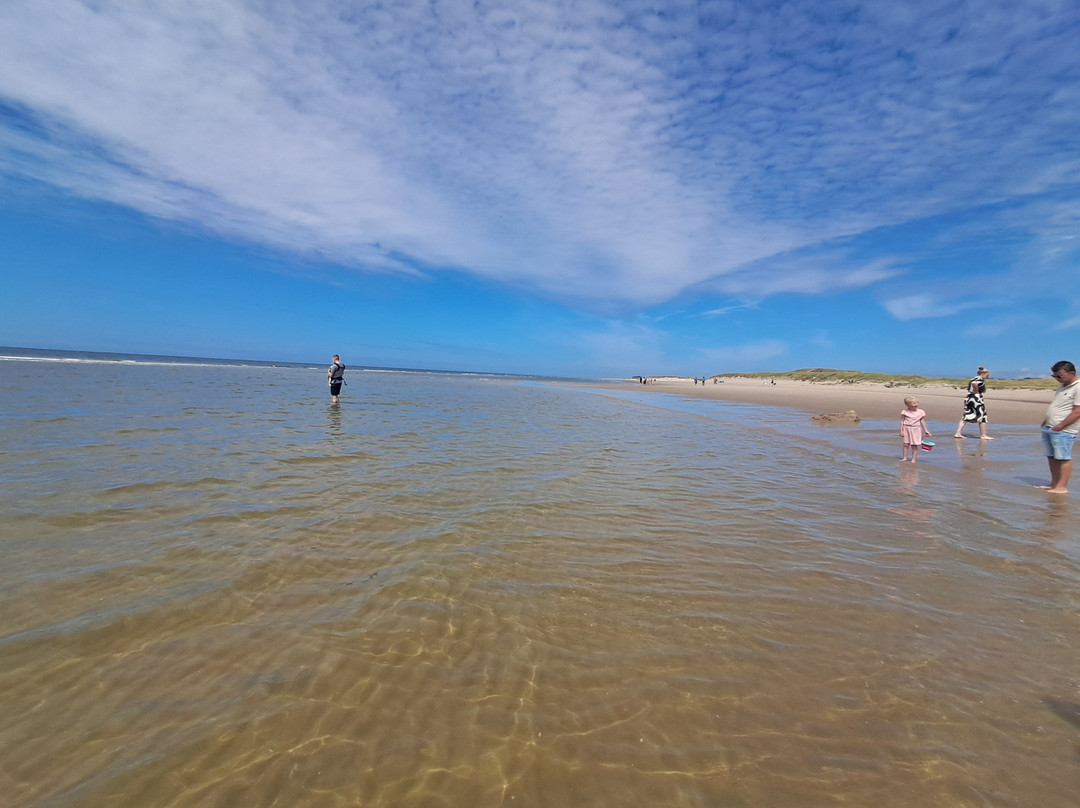 Hargen Aan Zee Strand-Schoorl必去景点
