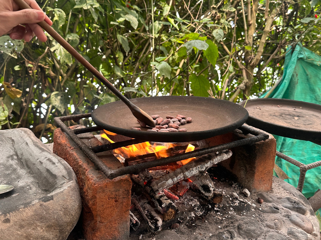 Mindo Maya Chocolate-明多必去景点