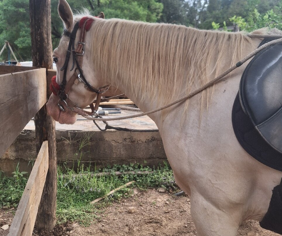 Ranch tavagna cavallu-Talasani必去景点