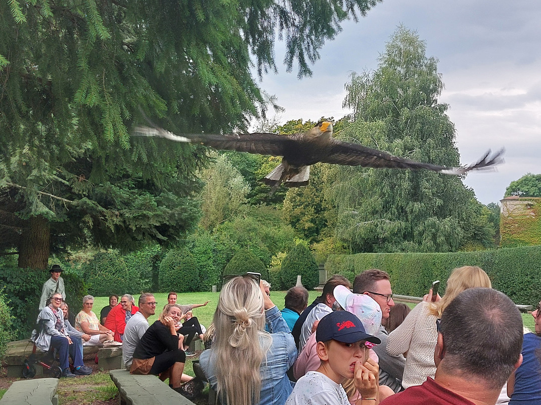 Greifvogelzentrum Waldreichs-Franzen必去景点