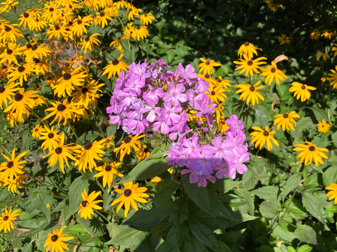 Privato Vineyard and Winery & Woodward Cider Co-坎卢普斯必去景点