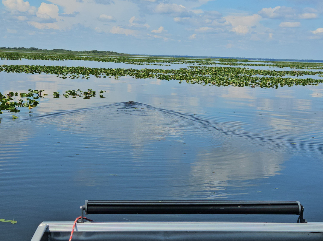 Kissimmee Swamp Tours-Kenansville必去景点