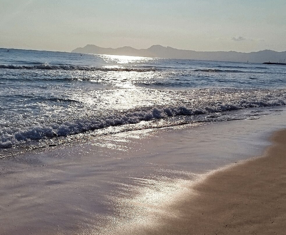 Playa de Ca'n Picafort-Ca'n Picafort必去景点