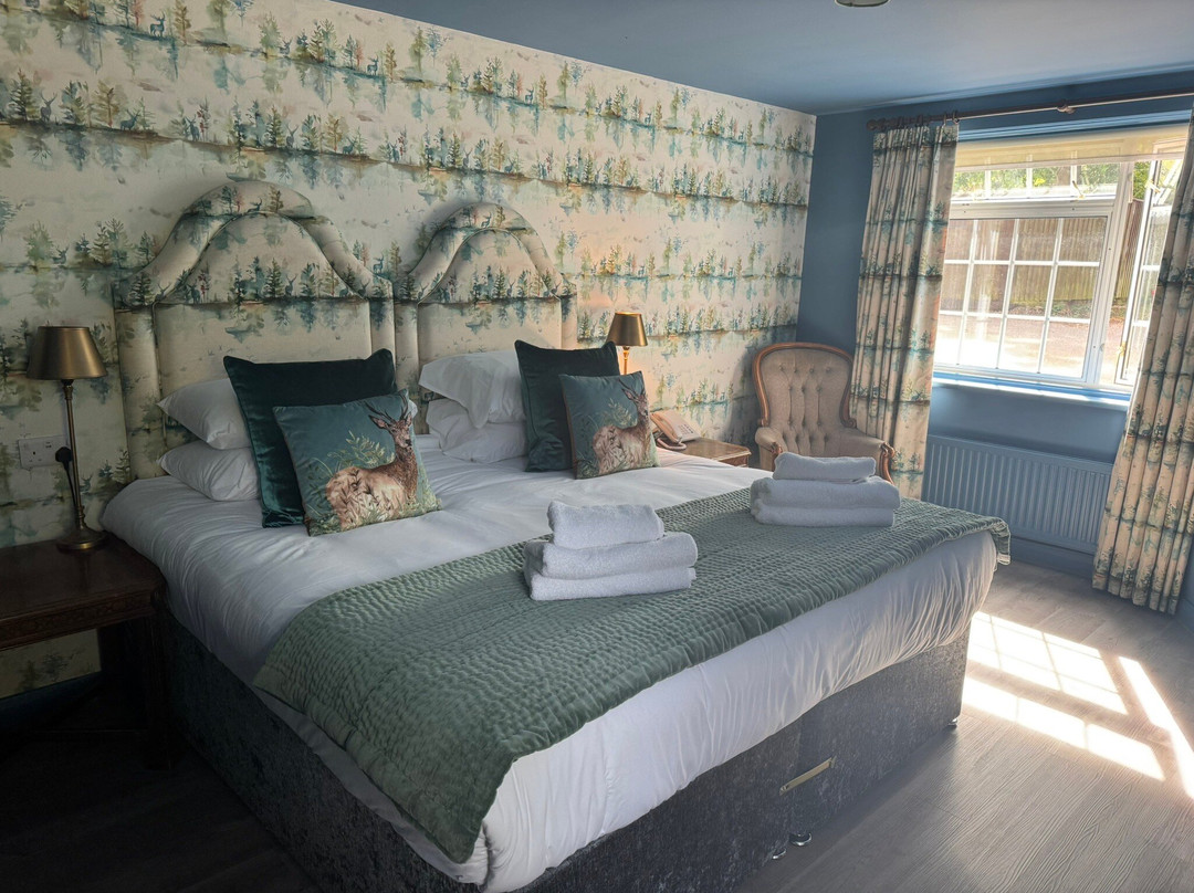 摩尔希尔别墅酒店主图