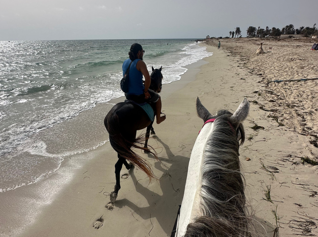Nour Equestre Djerba-Djerba Midun必去景点