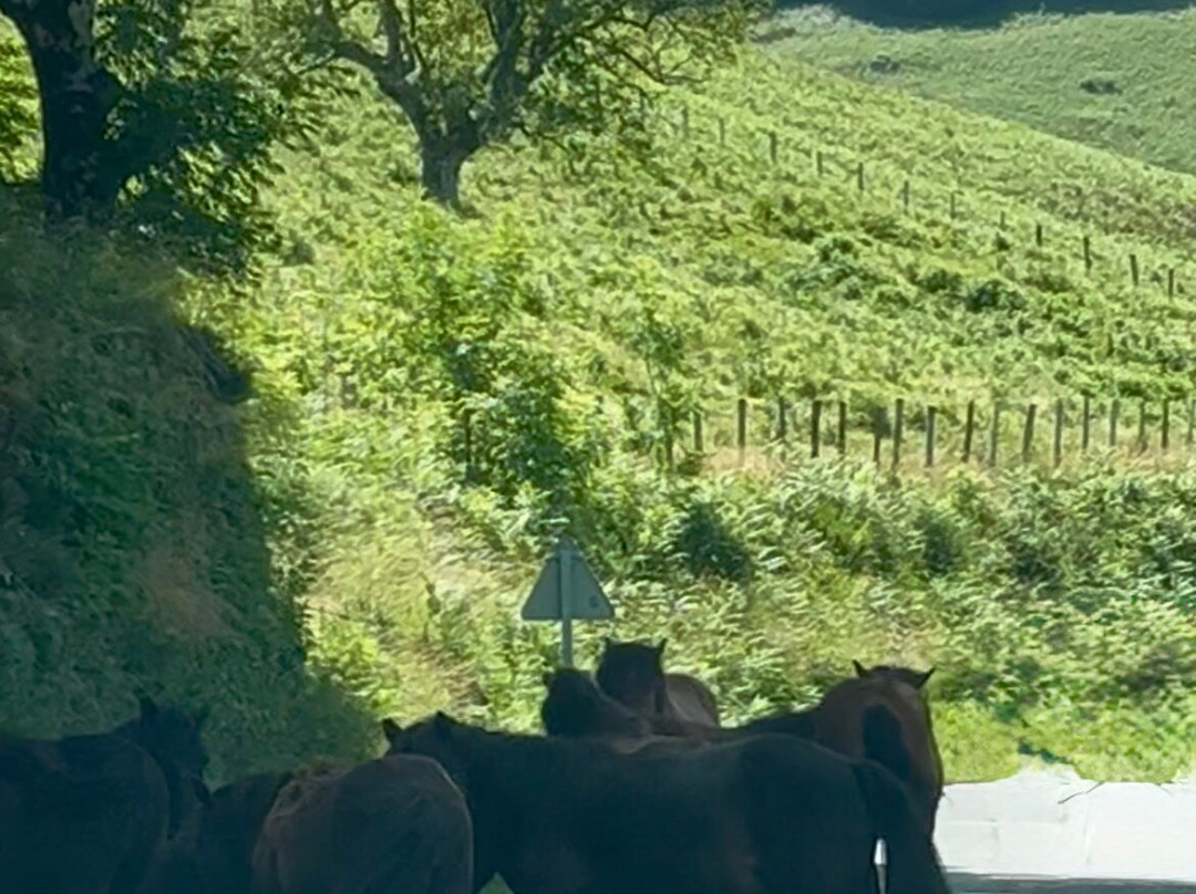 Col D'ispéguy-Saint-Etienne-de-Baigorry必去景点