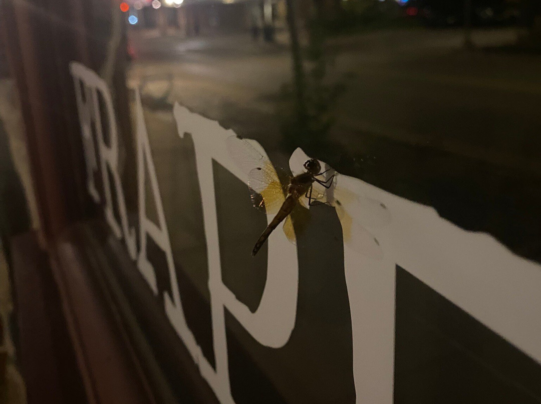 The Clarke Hotel主图