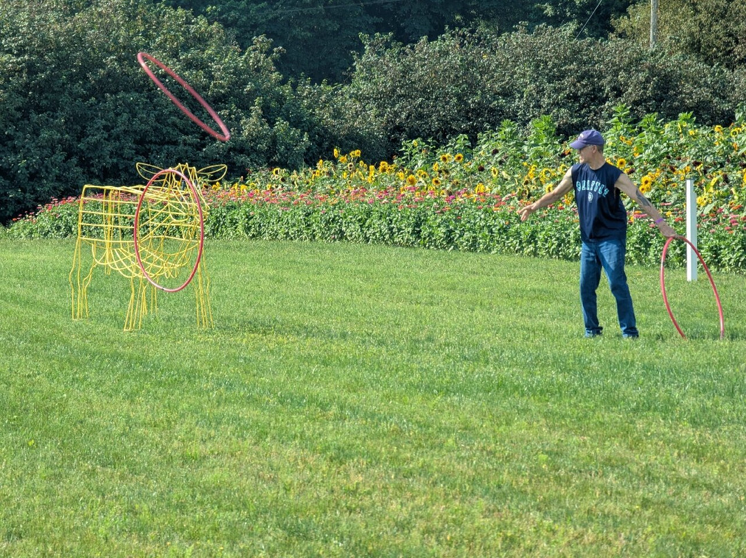Bob's Corn and Pumpkin Farm