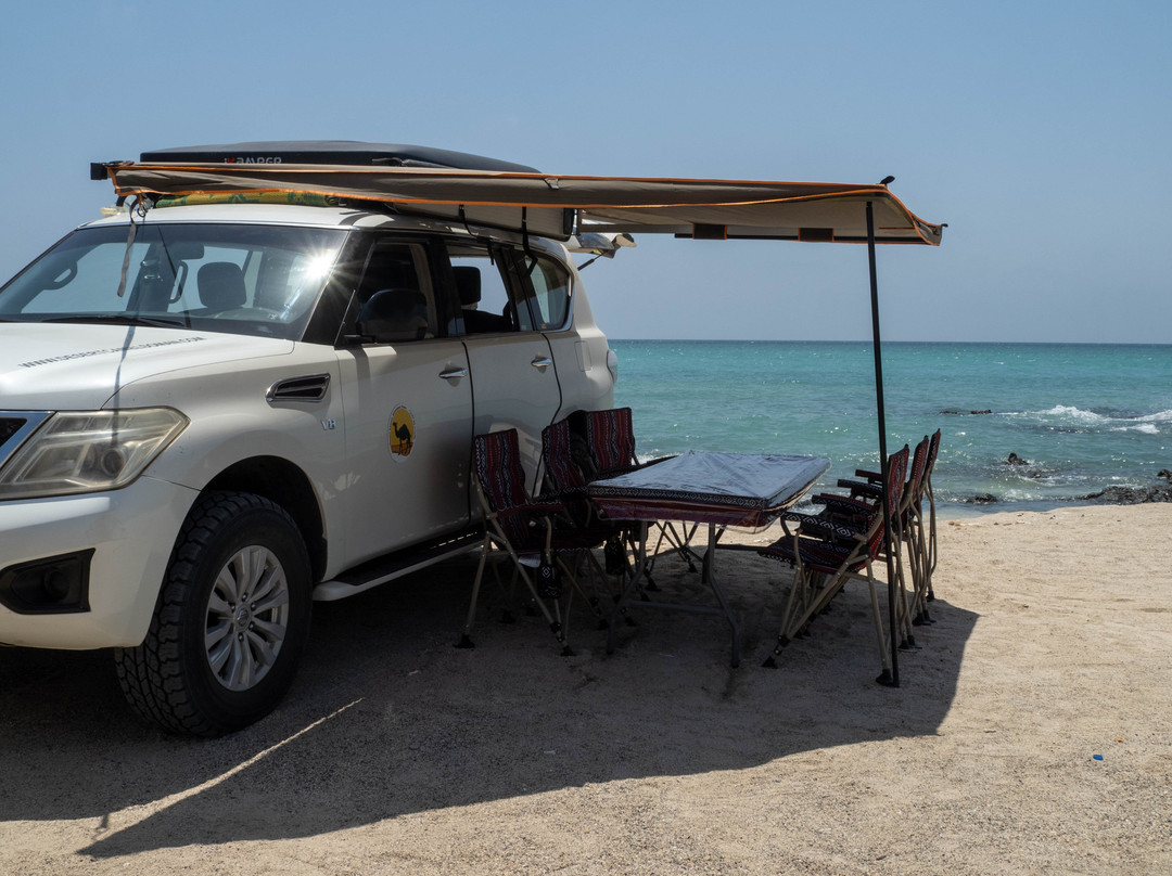 Desert Camels Adventure Tours-尼日瓦必去景点