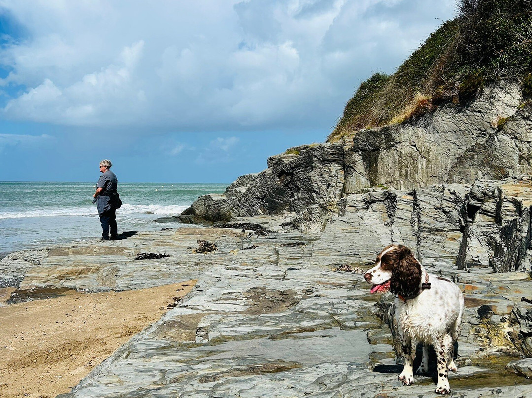 Aberporth Beach-Aberporth必去景点