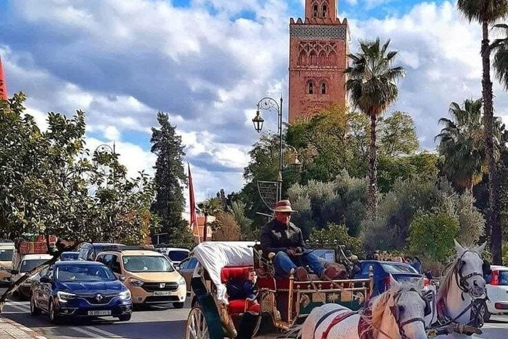 Amazouz Morocco Tours - Palmeraie