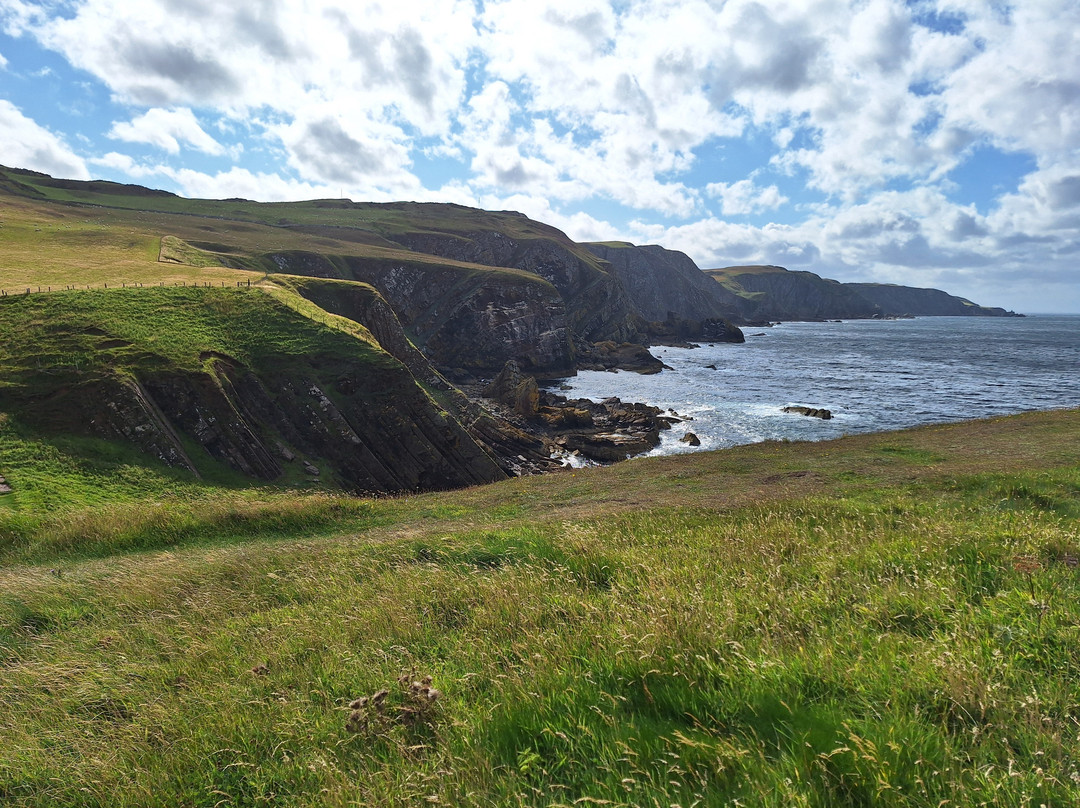 St Abbs Head National Nature Reserve-St Abbs必去景点