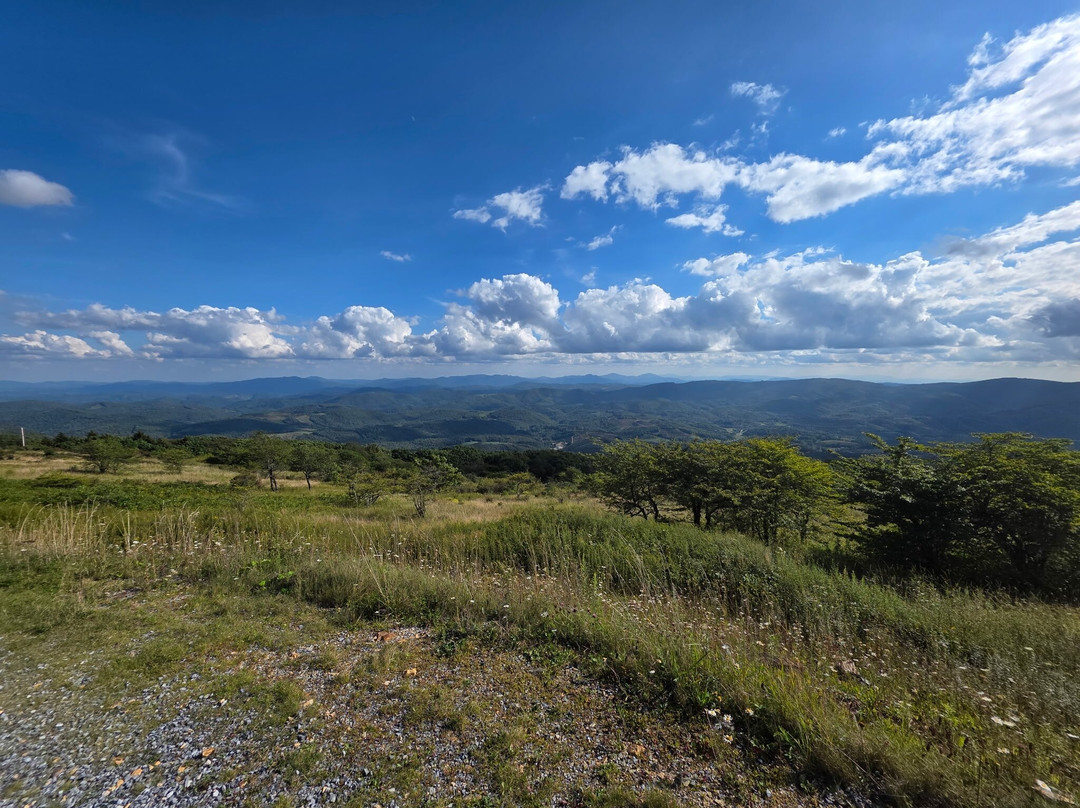 Whitetop Mountain-Mouth of Wilson必去景点