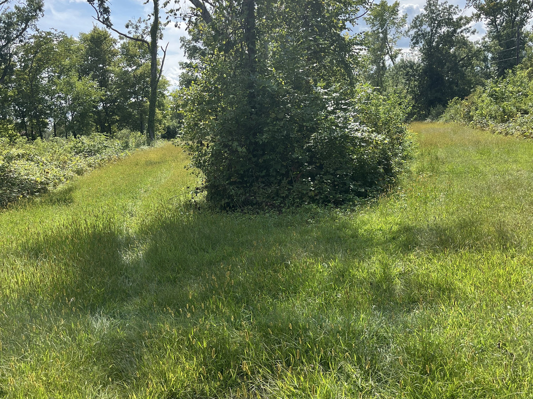 Wickiup Hill Learning Center-Toddville必去景点