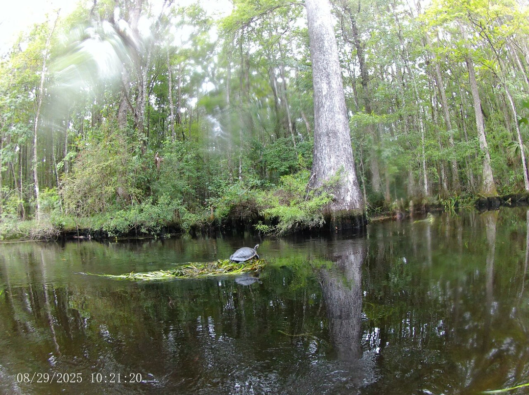 TNT Hideaway Day Tours-Crawfordville必去景点