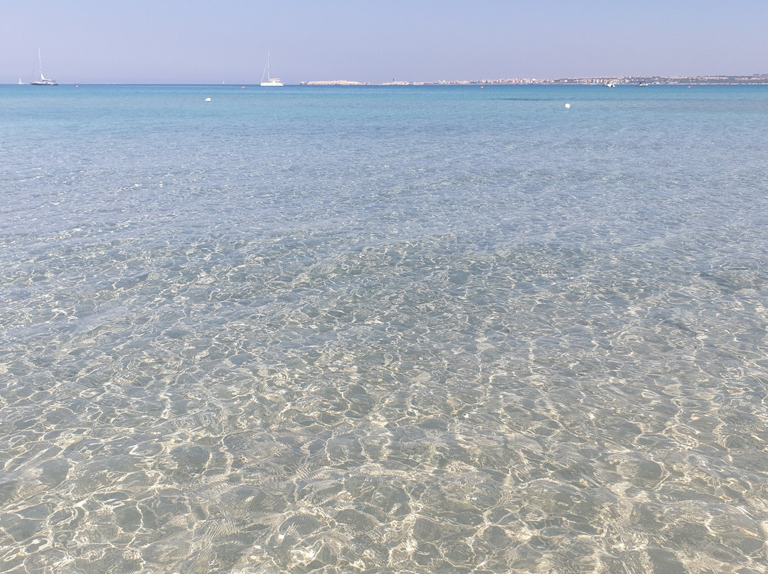 B&B Sole Luna e Girasoli主图