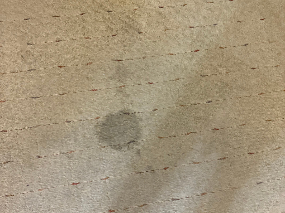 坦珀尔花园与水疗度假村主图