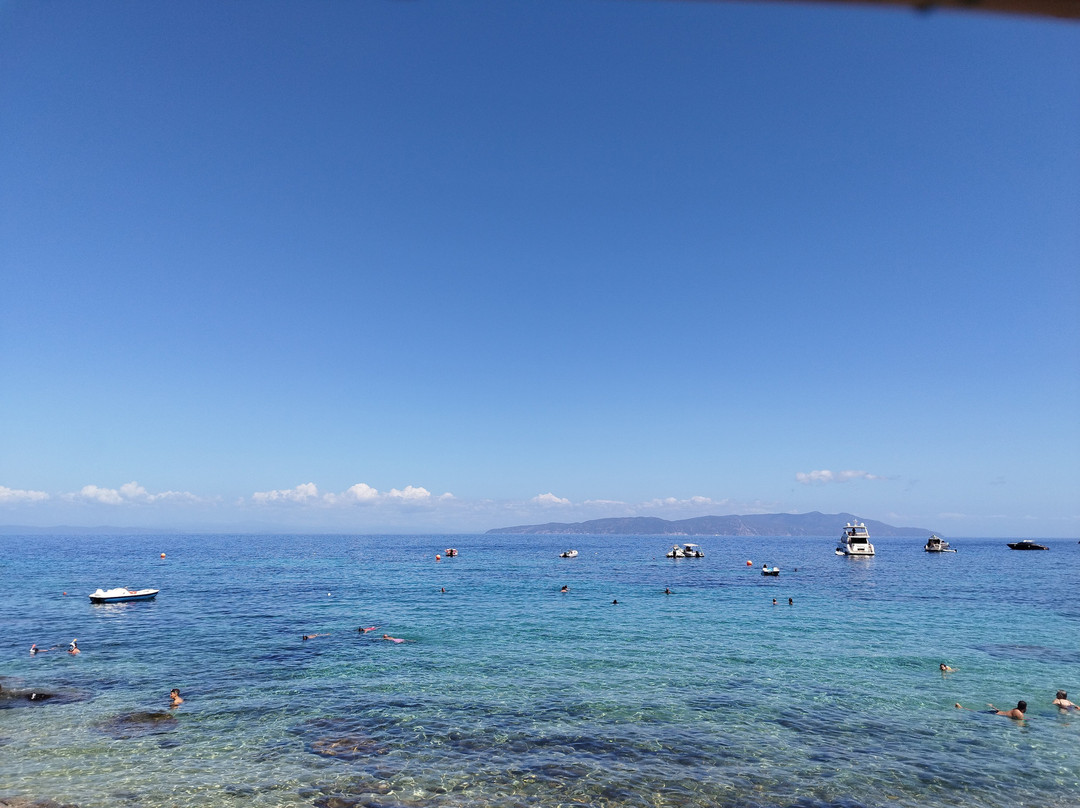 Spiaggia Arenella-Isola del Giglio必去景点