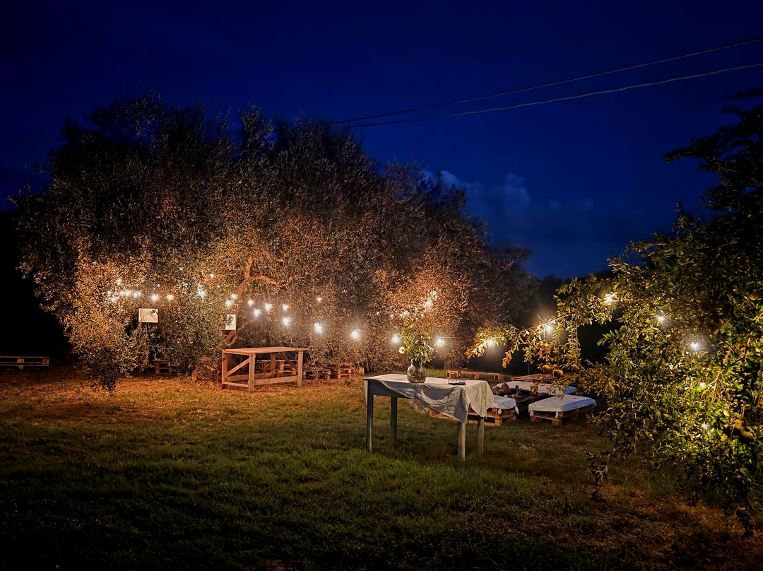 Olivina Experiences-Lotzorai必去景点