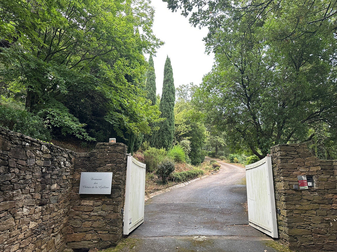 Domaine Des Chênes De La Galline