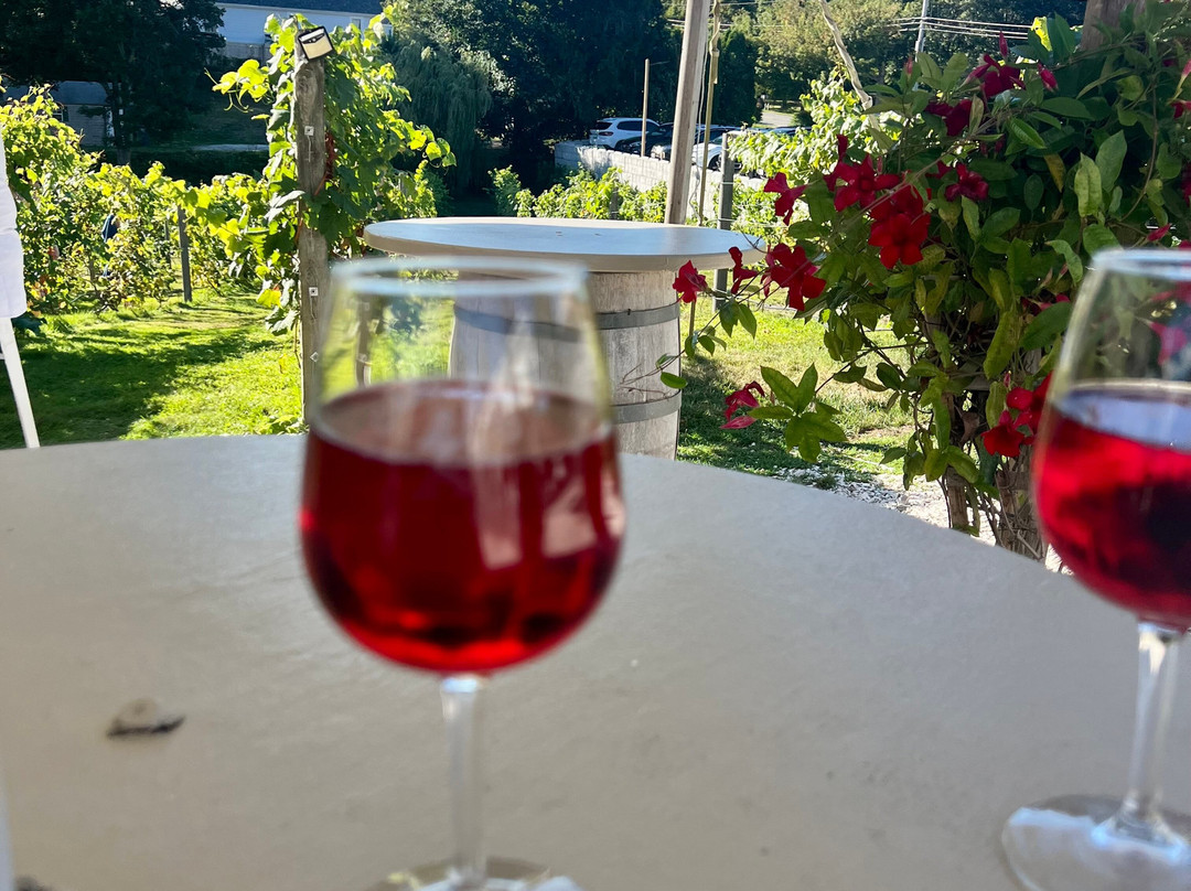 Cape Cod Winery-法尔茅斯必去景点