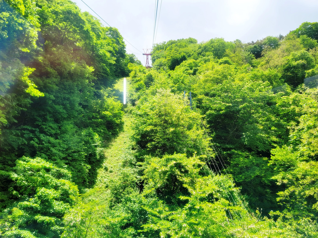 Uenoyama Park Tokimeki Deck-涩川市必去景点