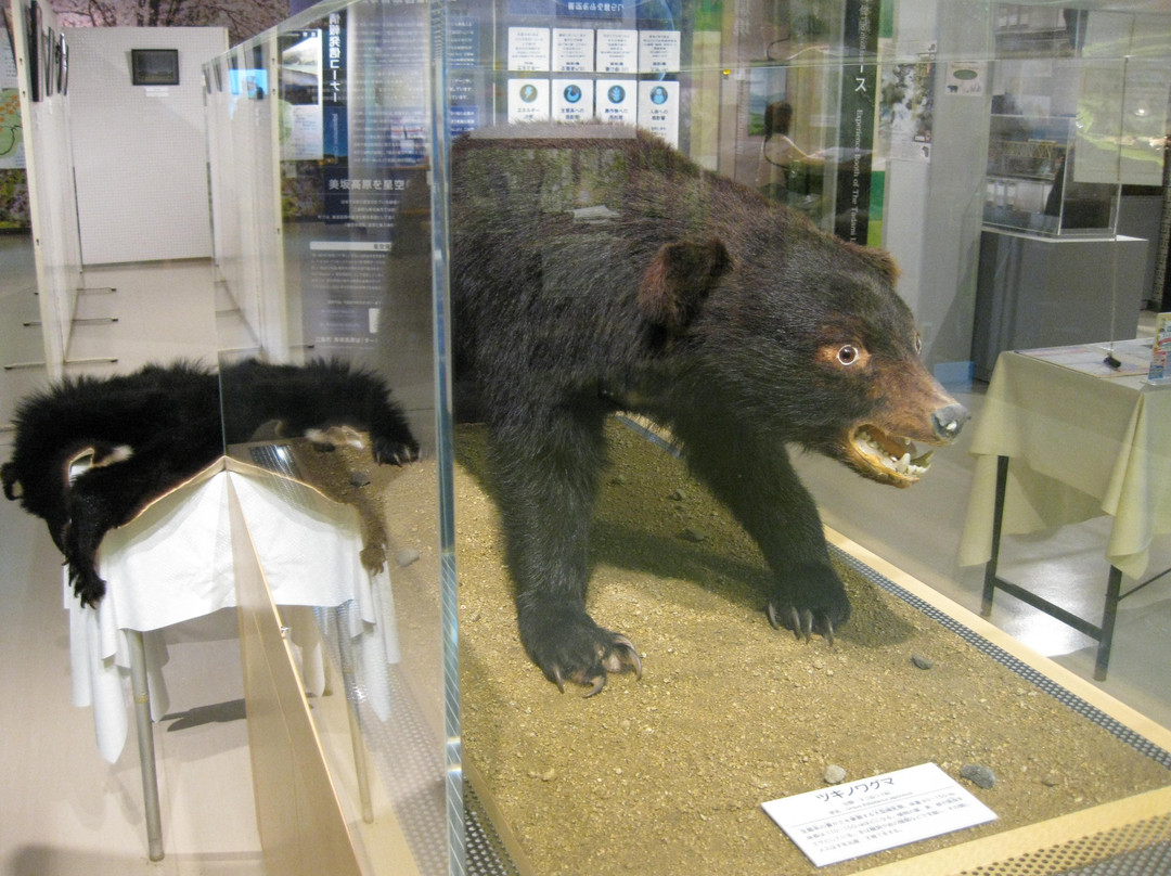 Michi no Eki Aizuyanaizu-柳津町必去景点