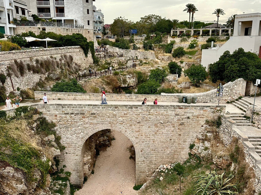 Apulian Experience-奥斯图尼必去景点