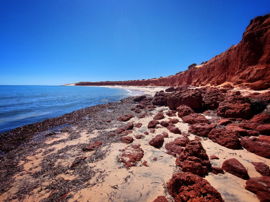 Shark Bay Coastal Tours-德纳姆必去景点