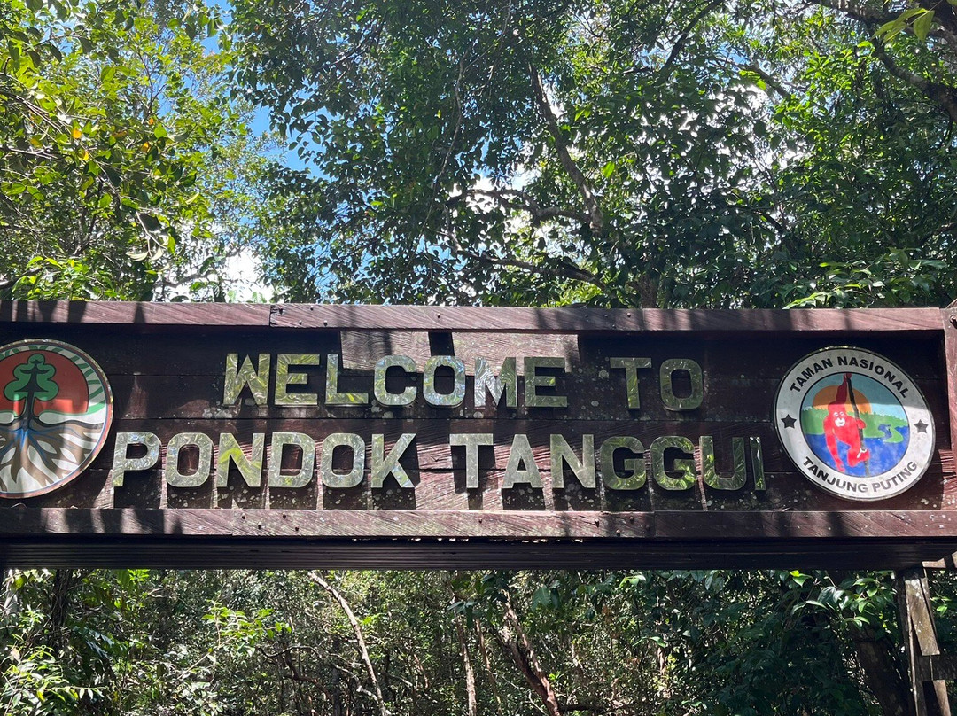 Toris Orangutan Tour-Kumai必去景点