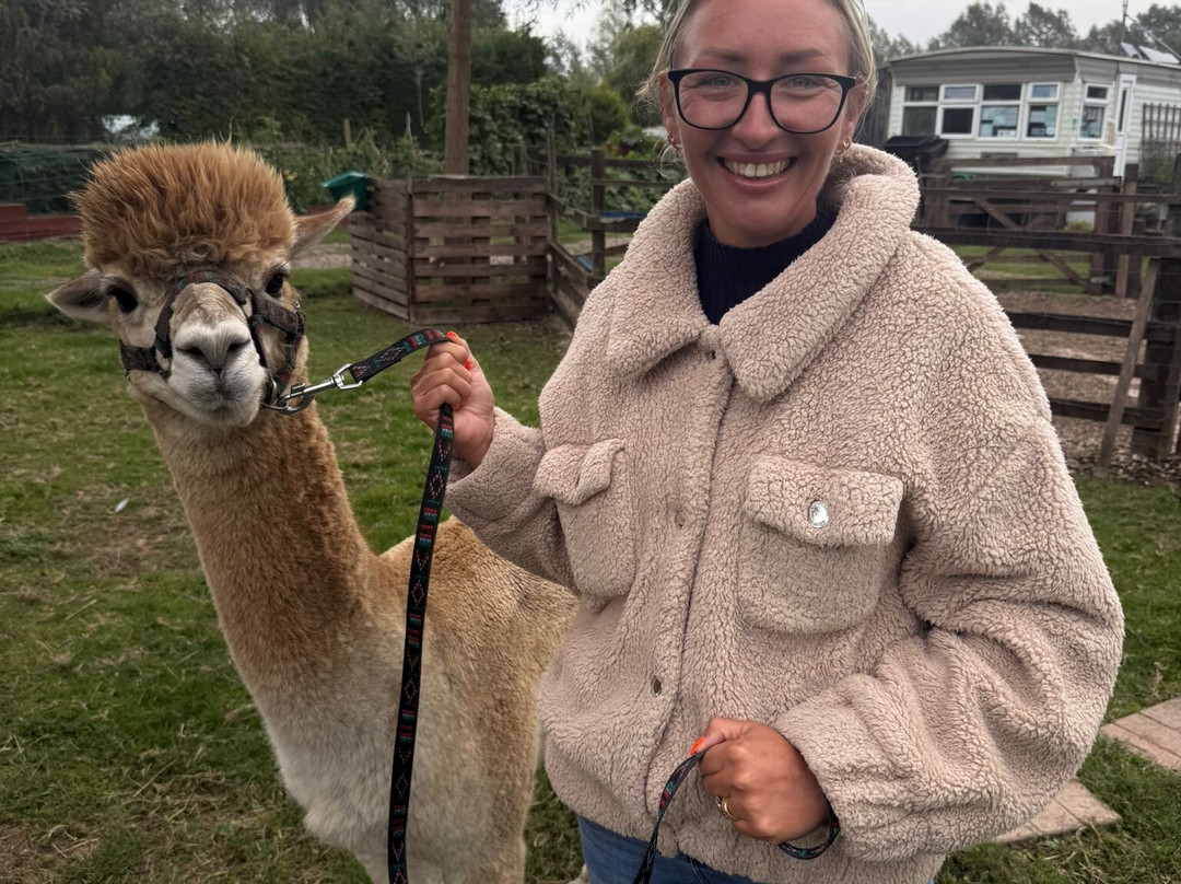 Blackwater Alpacas & Pygmy Goats-布伦特里必去景点