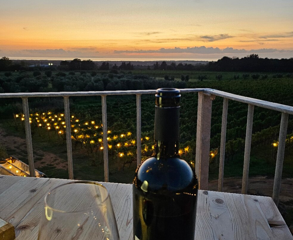 Lq - Le Querce - Wine Tasting-Campiglia Marittima必去景点