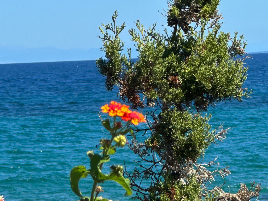 Katerina's Inn Apartments主图