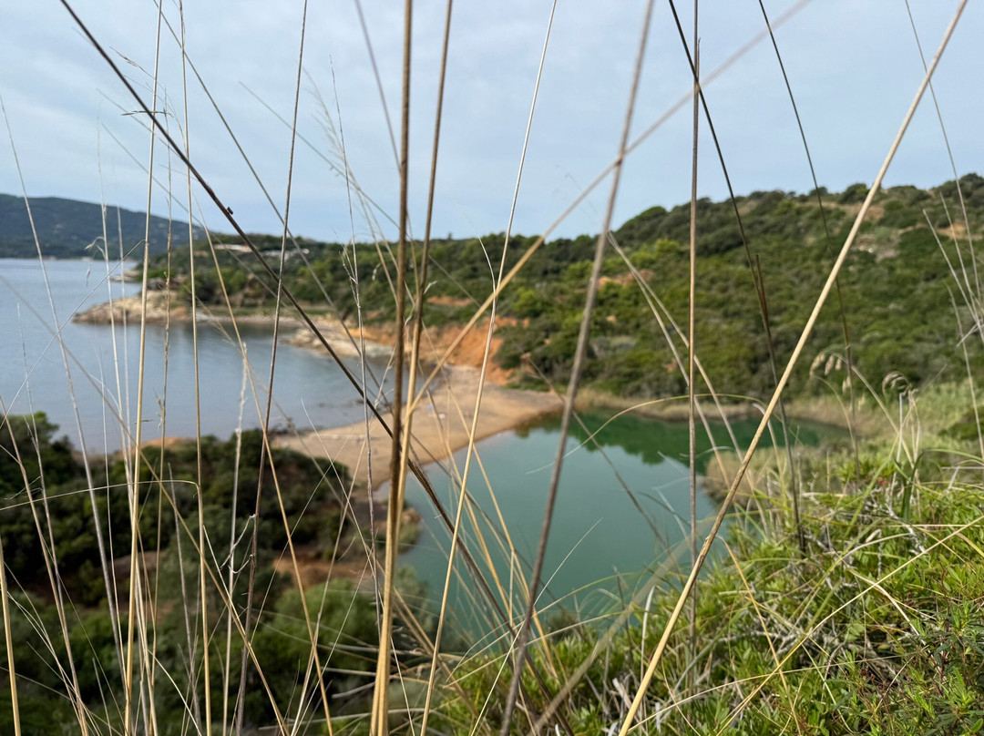 Bike Hub Tour & Rent Elba-Capoliveri必去景点