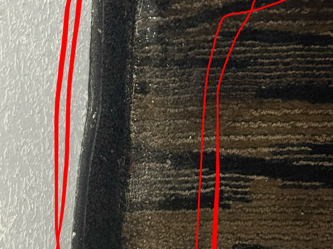 La Quinta Inn & Suites by Wyndham Tupelo主图