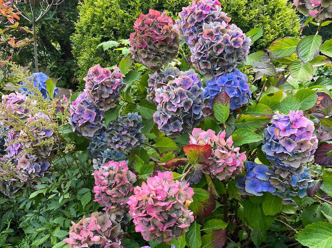 Annesdale House主图