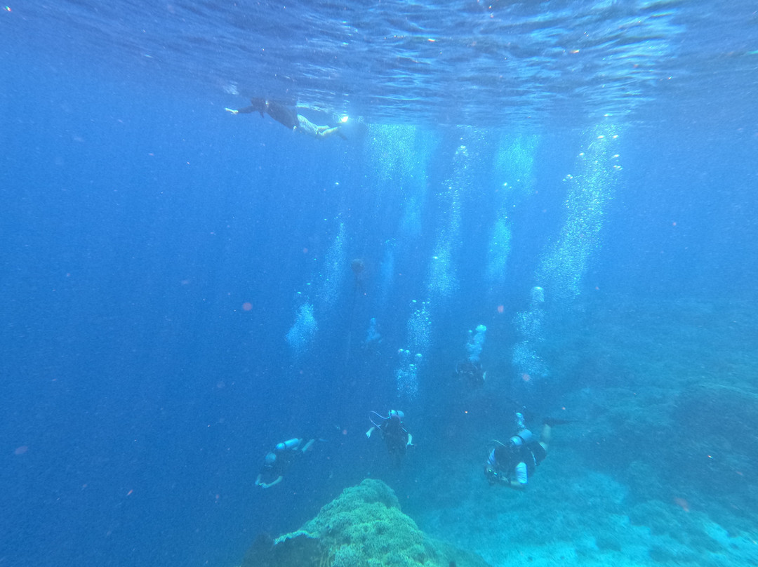 Snorkeling Menjangan-佩母德兰必去景点