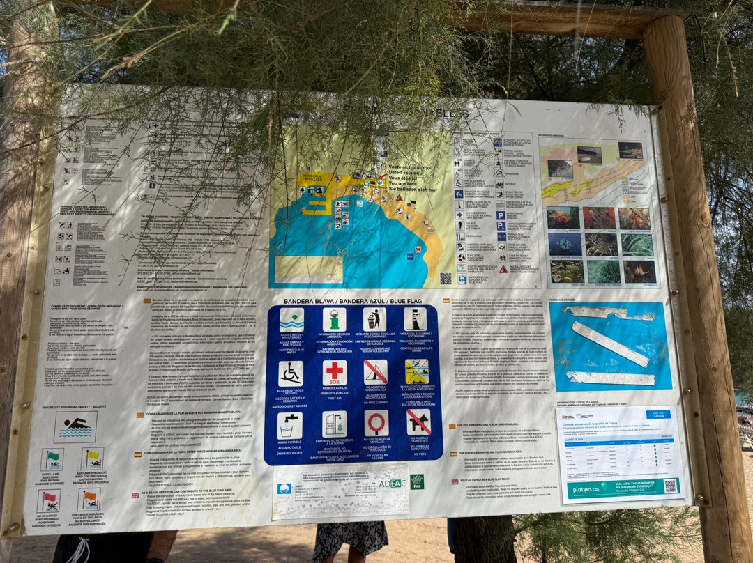 Playa Cala Sa Boadella-犹兰特德玛必去景点