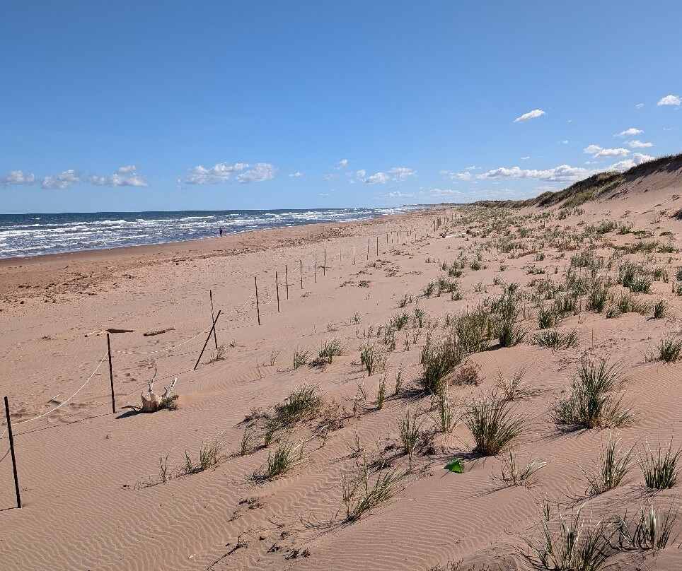 Red Sand Tour-夏洛特镇必去景点