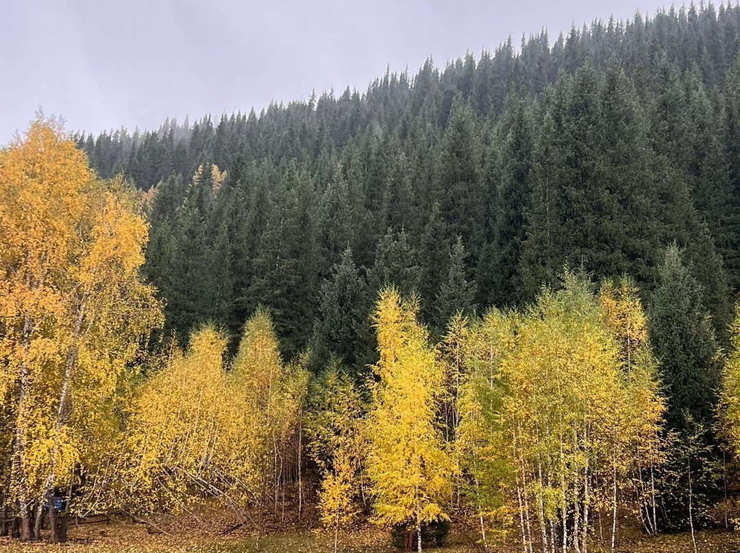 Letsharetrip-阿拉木图必去景点