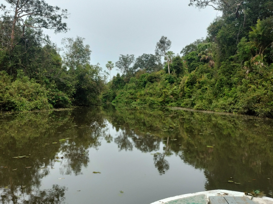 萨特沃大象生态酒店主图