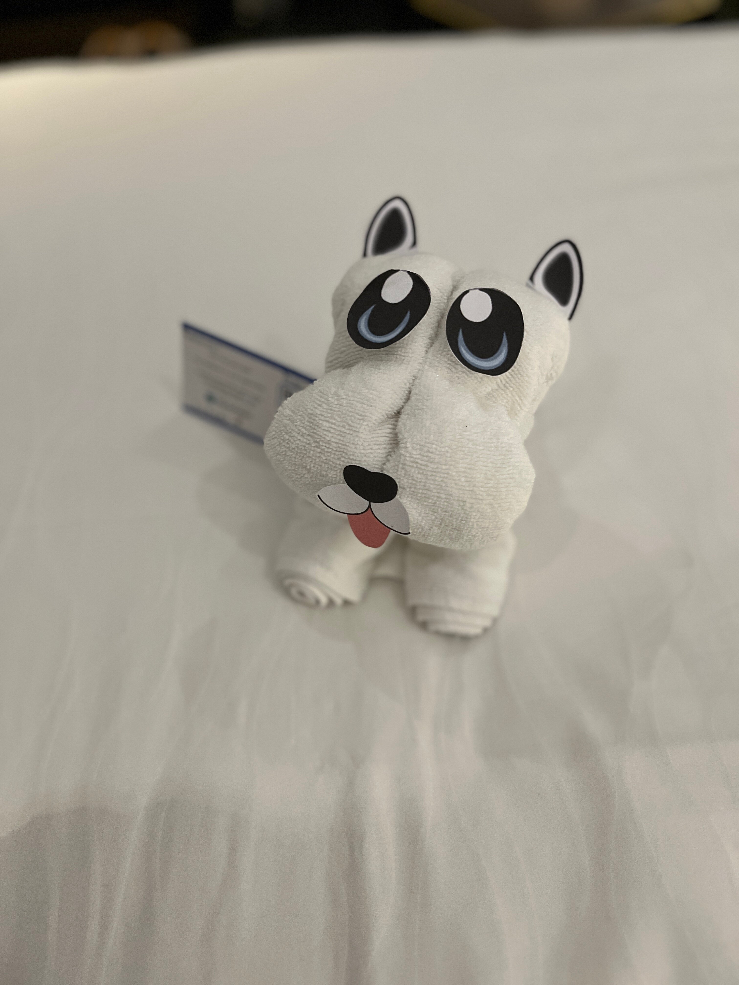 贝尔蒙特马尼拉酒店-客卧