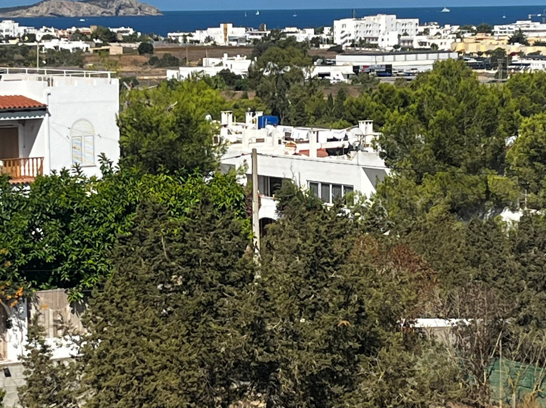 Aparthotel Vibra Monterrey主图