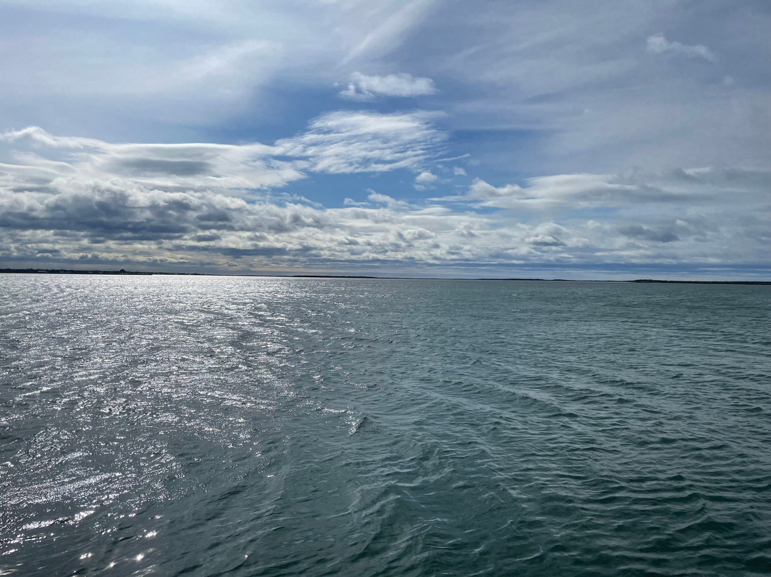 Hotel Jetty-Port Albert必去景点